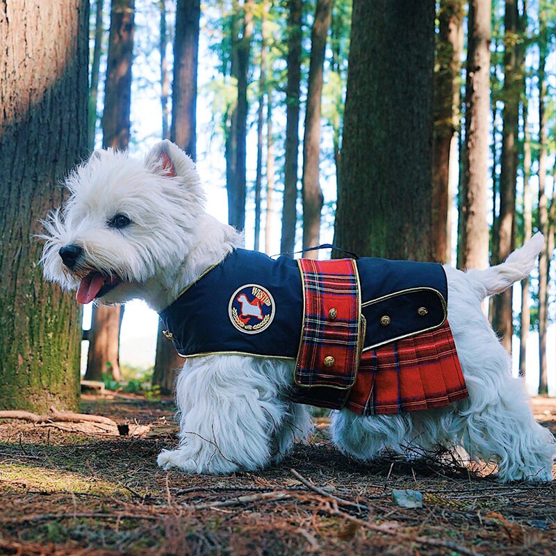 Scottish Dog Dress