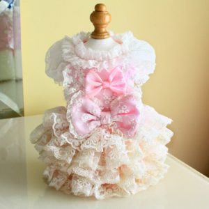 cute frock for your cute puppy