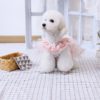 baby pink frock colletions for pet