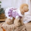 Cutesy Outfit Ideas For Your Dogs