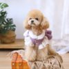 most trendy frock for pet