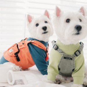 orange and light grees dresses for dogs