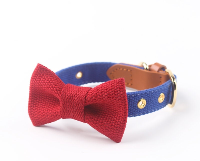 belts with red and blue for dogs