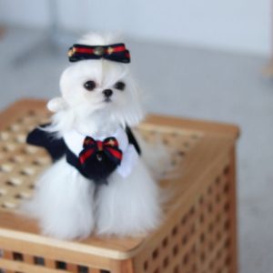 stylish dress for dog