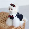 stylish dog dress online