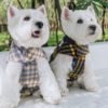 dog costumes for kids