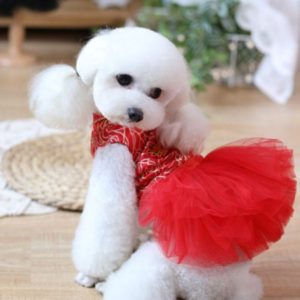 red color dress for pet