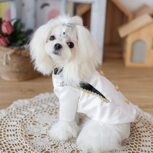 white and black combo dress for puppy