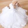 white Dog long wedding dress