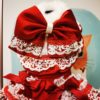 Red Ridding Hood Costume for Halloween
