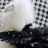 Real Feather Wing decorated with pearl and gem for pet dog cat rabbit
