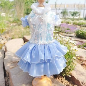 Silk Dress with bonnet for small girl dogs