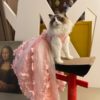 Luxury Dog Princess Wedding Costume