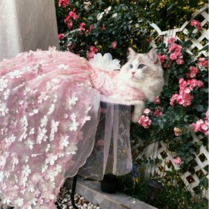 Pink Cherry Blossom Cat Dog Wedding Dress