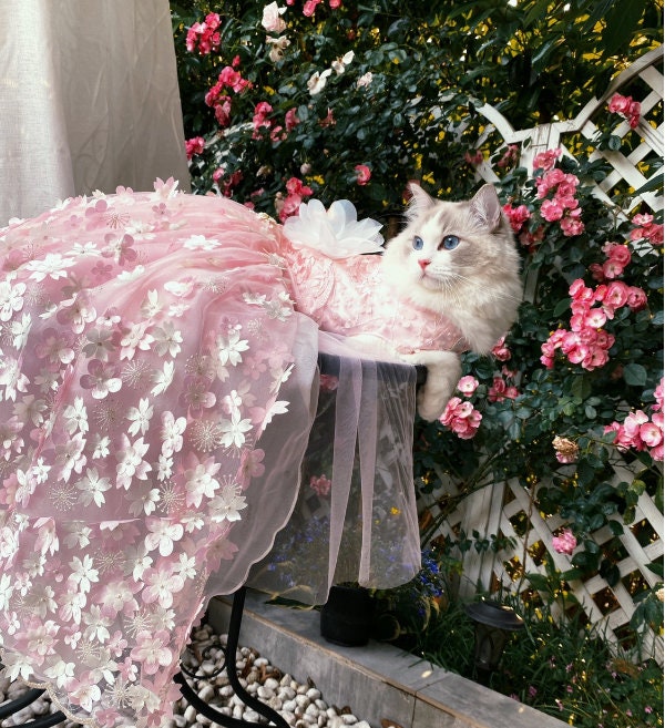 Pink Cherry Blossom Cat Dog Wedding Dress