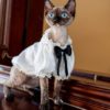 Handmade White Cotton Royal Cat Wedding Shirt with Black Bowtie
