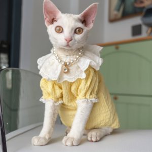 Pet Dress for Devon Sphynx Hairless Cat