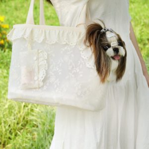 dog outfits bags