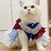 cat princess