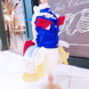 Luxury Halloween Snow White dog costume
