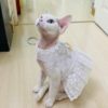 Uploaded to: Wedding Harness sets Dress and Vest Pet Cat Dog Harness