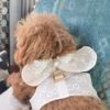 wedding frock for male dog