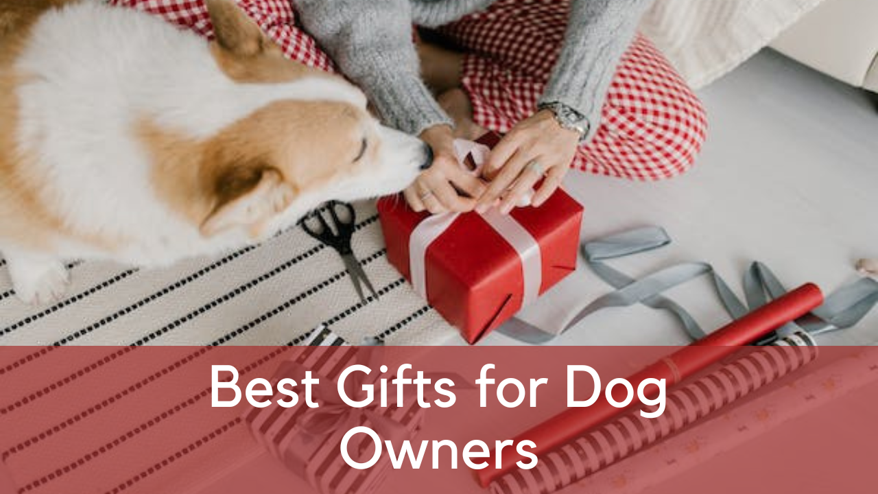 best gifts for dog owners