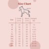dog clothes size chart