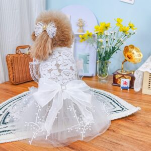 white lace dog wedding dress
