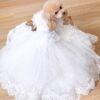 luxury full length dog wedding dress