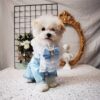 Tiffany Blue Matching Dog Jacket and Princess Dress