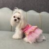 sleeping beauty disney princess dog costume