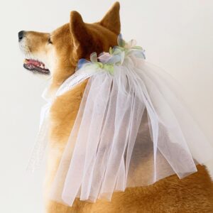 colorful dog wedding veil