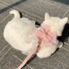 Pink cat princess harness