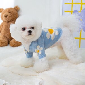 Blue daisy flower print dog sweater