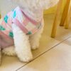 Pink check dog jumper