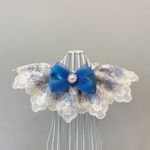 white lace sheer blue dog wedding collar