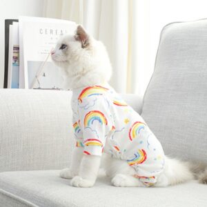 cat rainbow pride tshirt