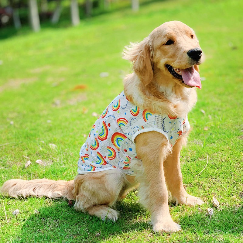 7 Beginner Friendly Free Printable Sewing Patterns For Dog Clothes 