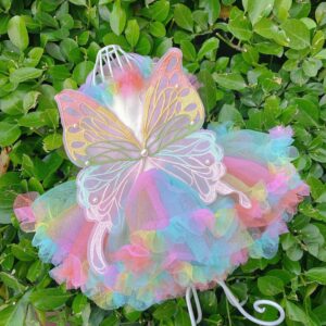 rainbow butterfly pride dog dress