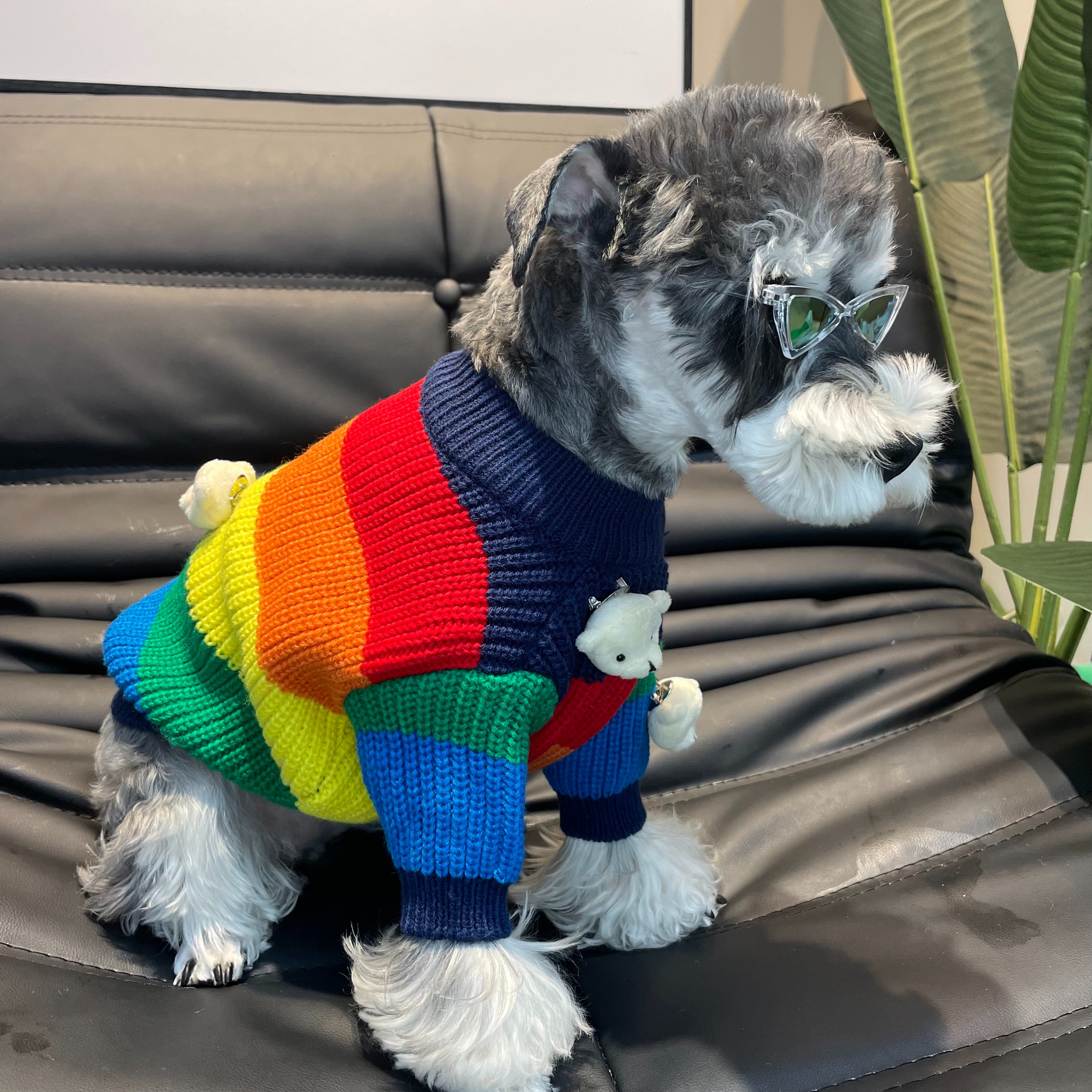 rainbow stripe dog sweater