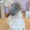 rainbow heart dog dress
